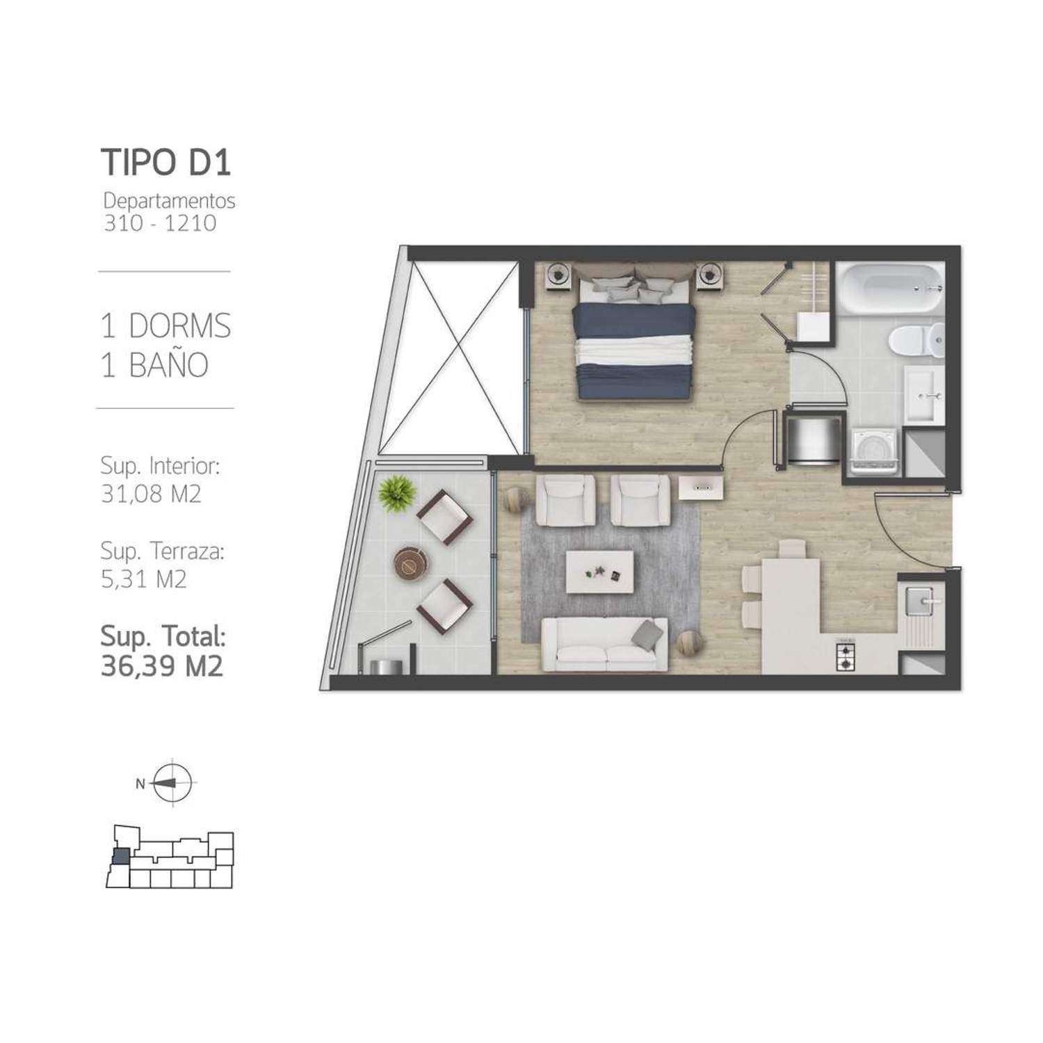 Plano D1