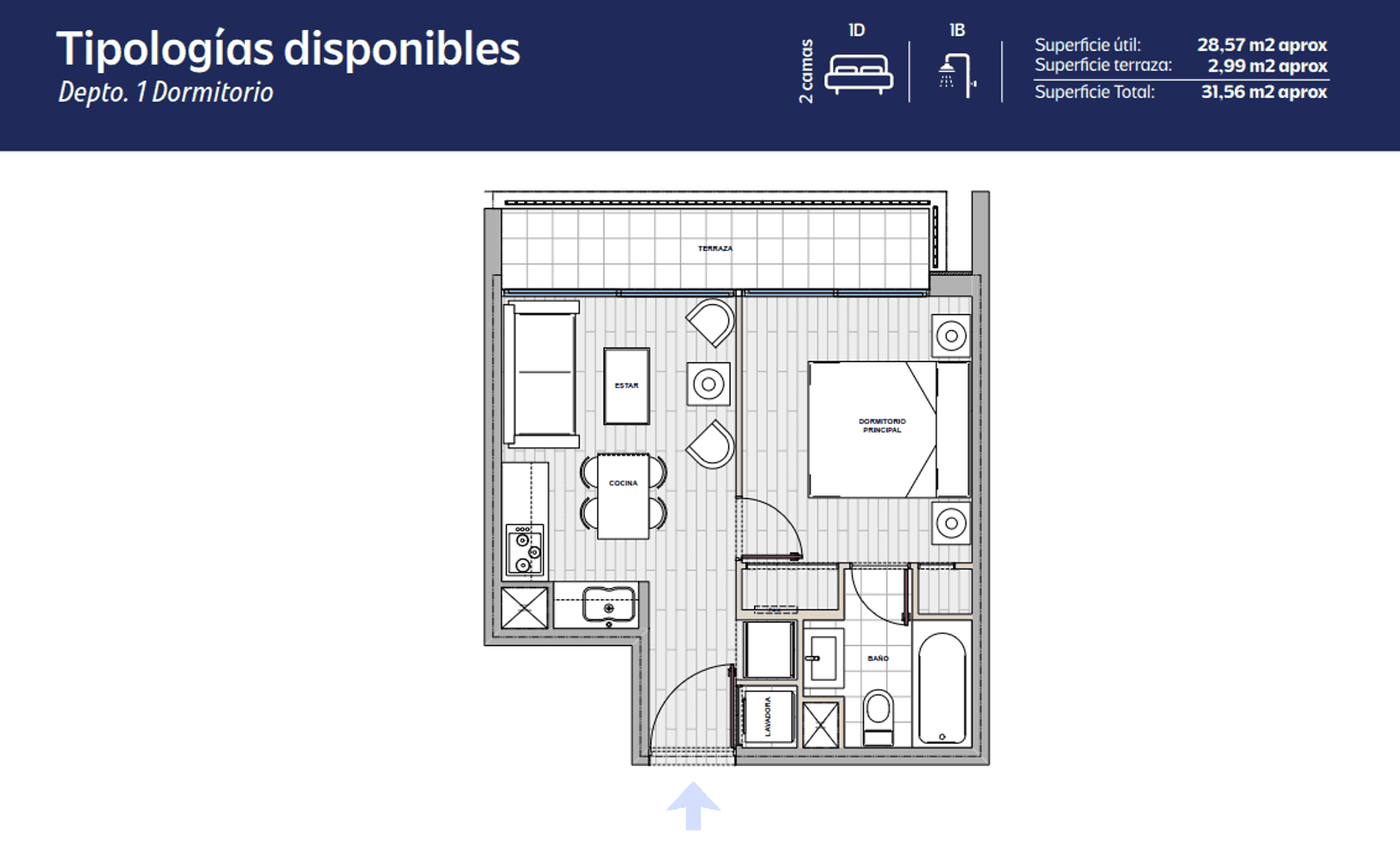 Plano 1D1B