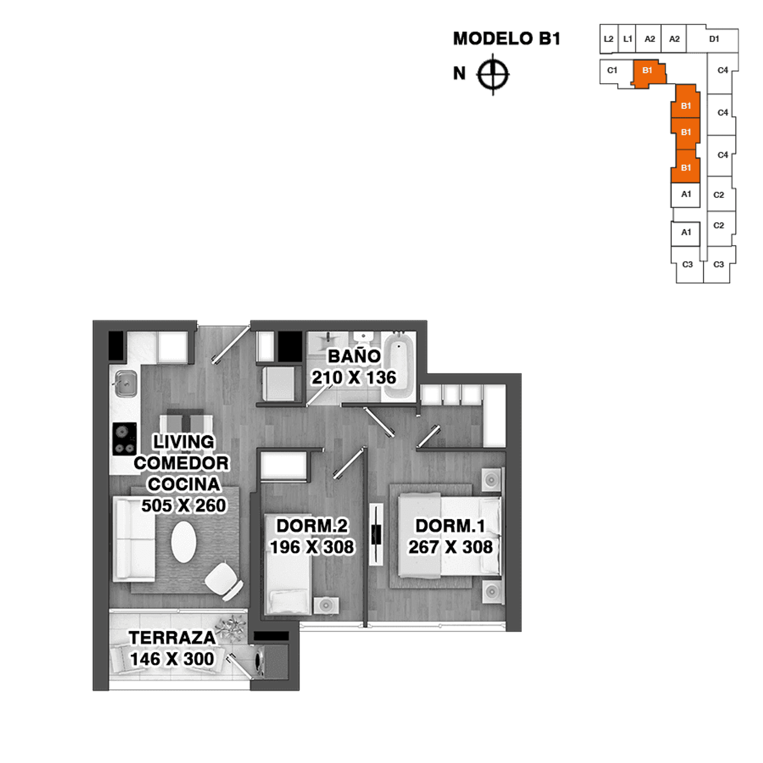 Plano B1