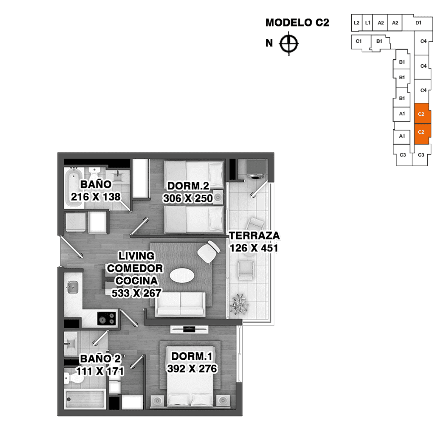 Plano C2