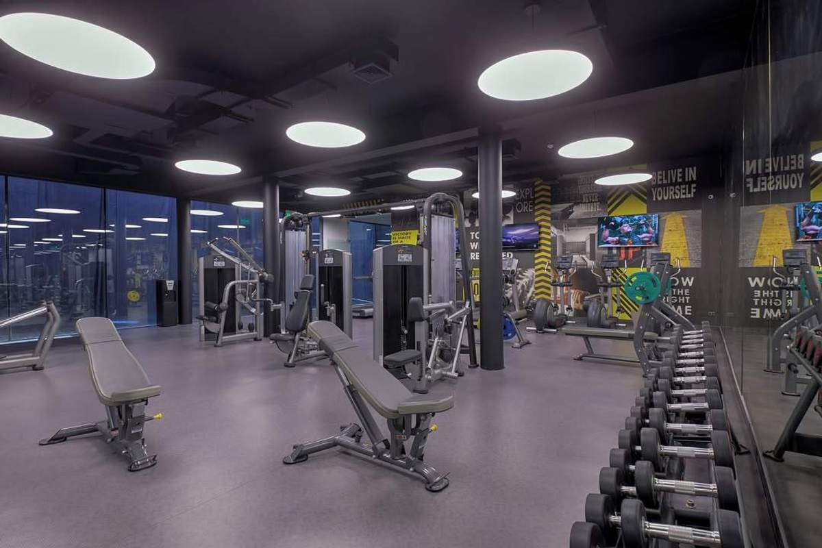 Gimnasio