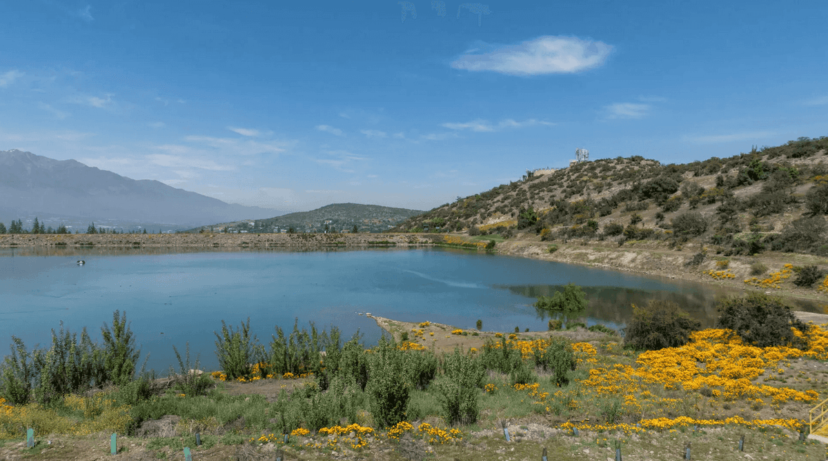 Entorno — Laguna Andina