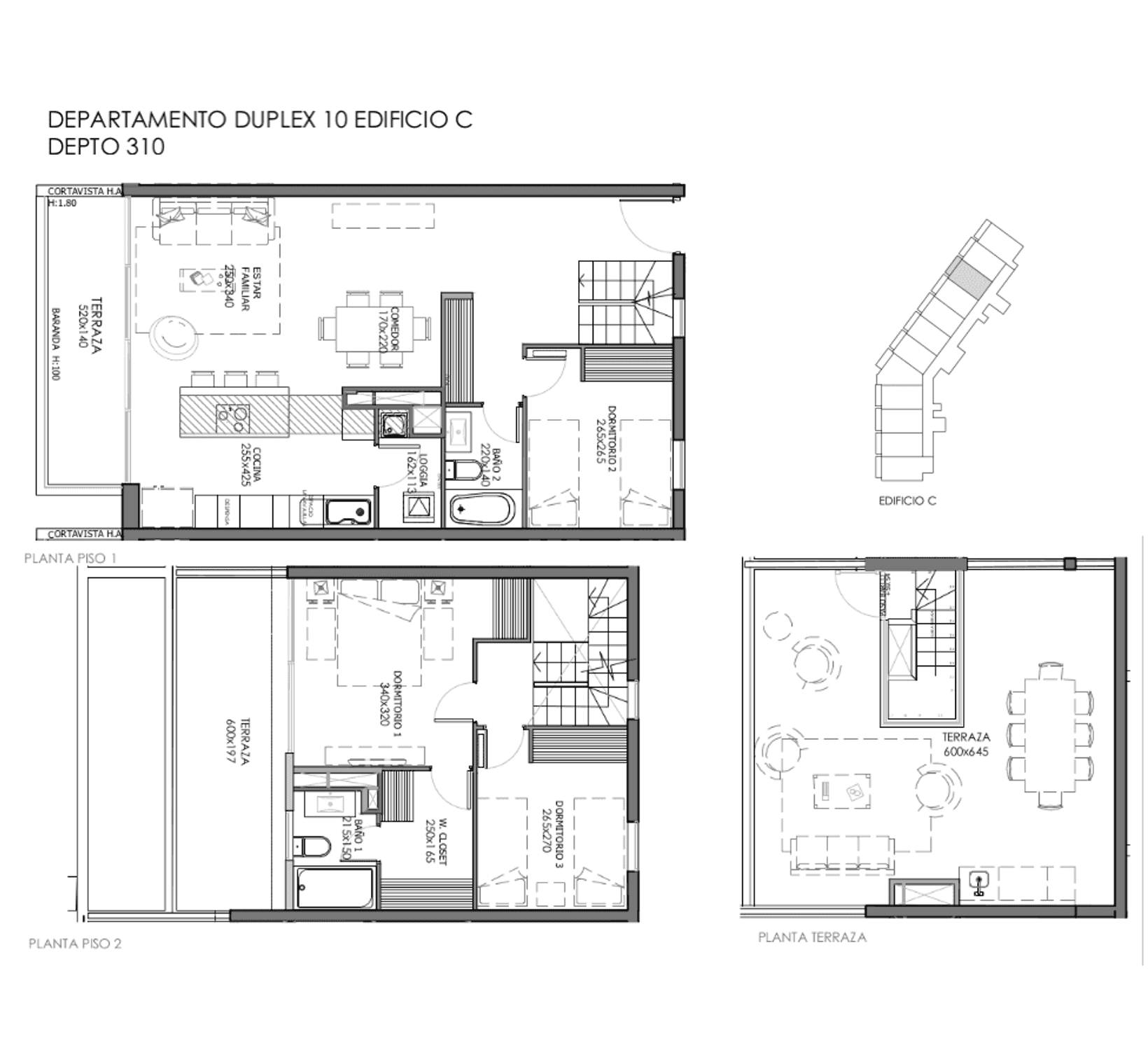 Plano 310 Edificio C – Duplex