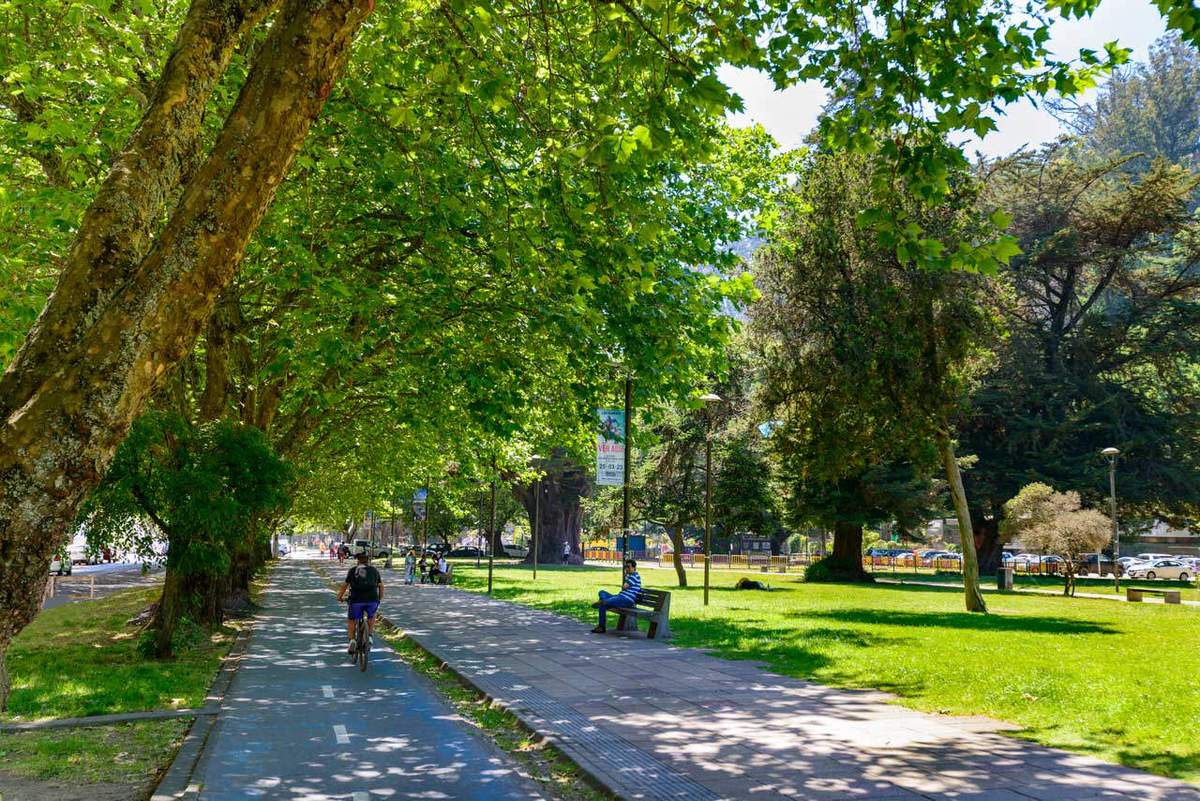 Entorno — Distrito Parque