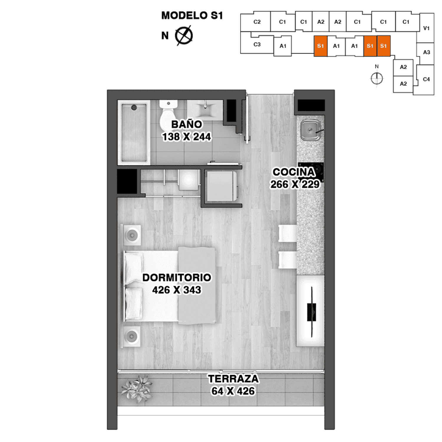 Plano S1
