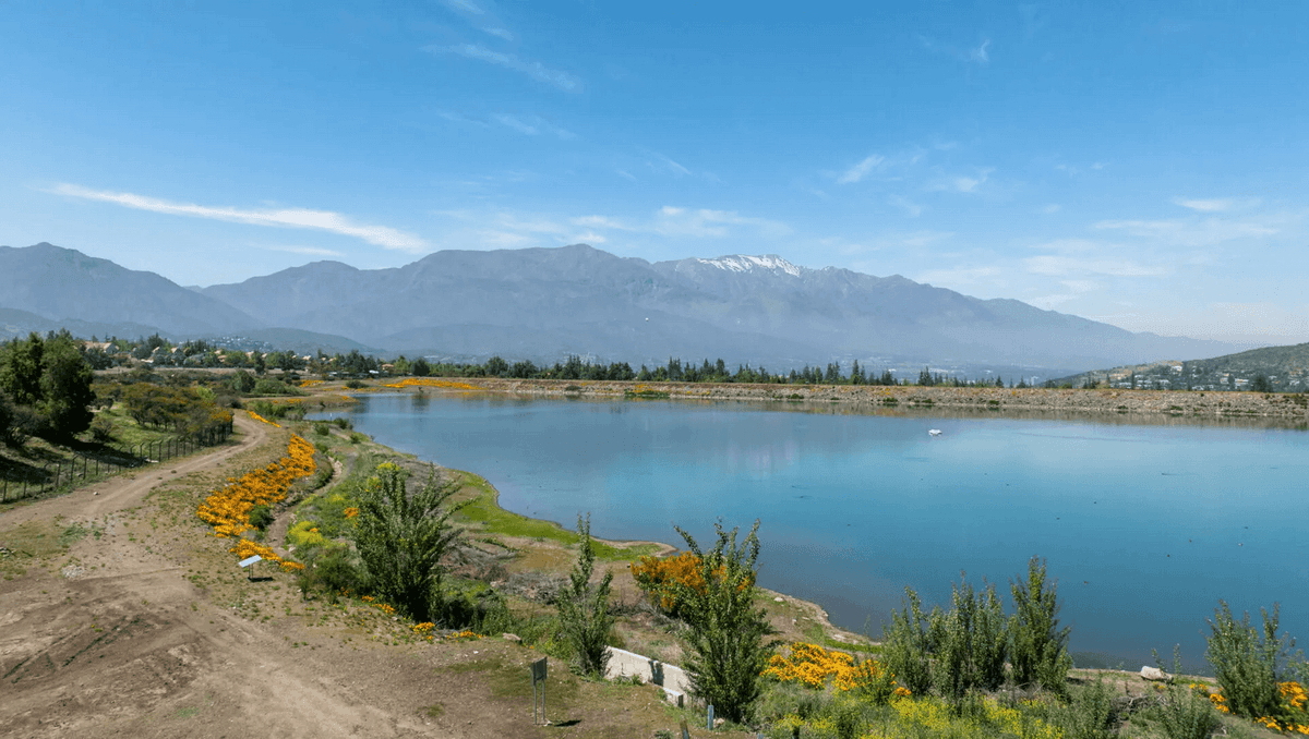 Entorno — Laguna Andina