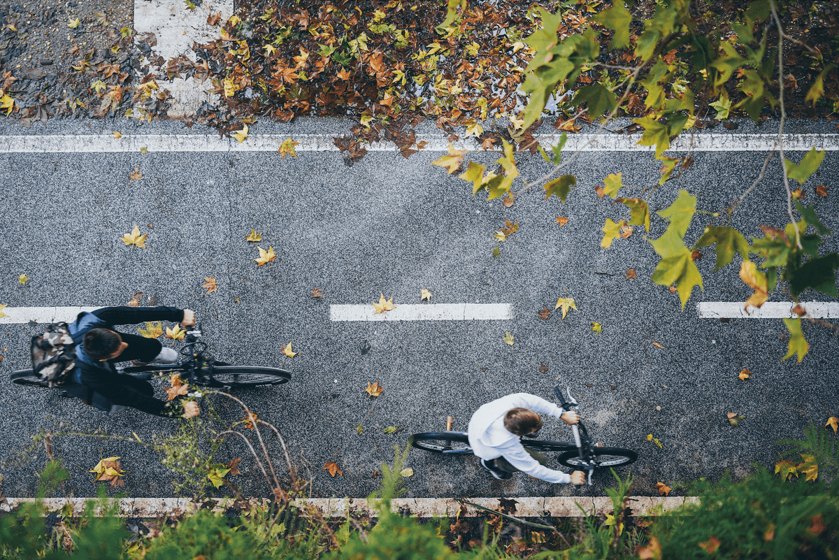 Entorno — BD390