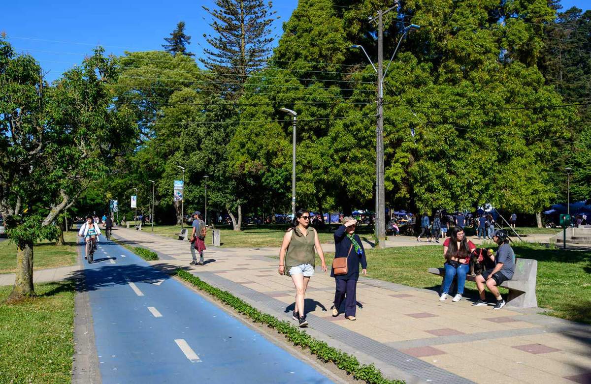 Entorno — Distrito Parque