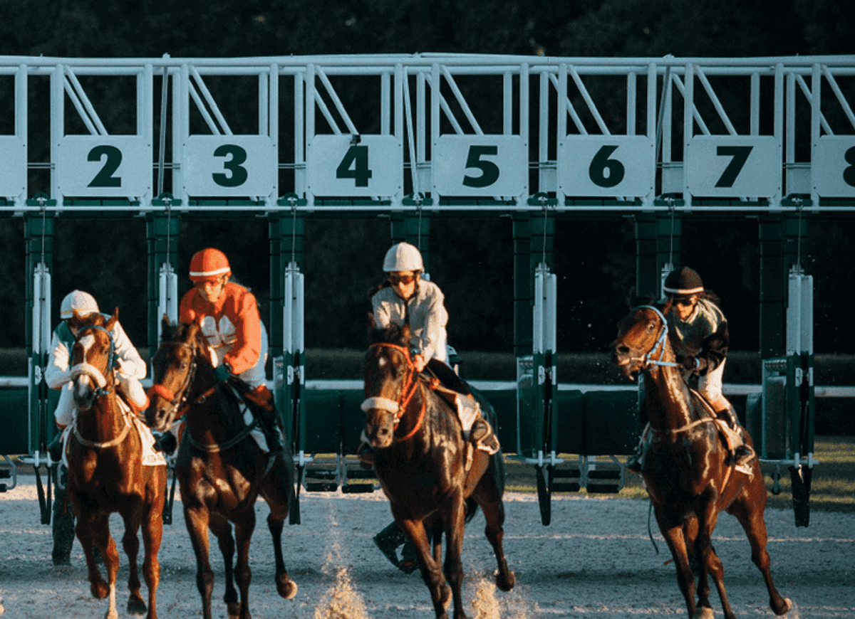 Entorno — Hipodromo 1613